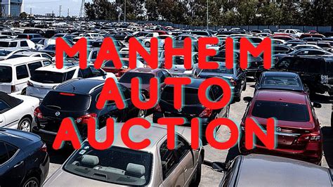manheim car auction inventory list.